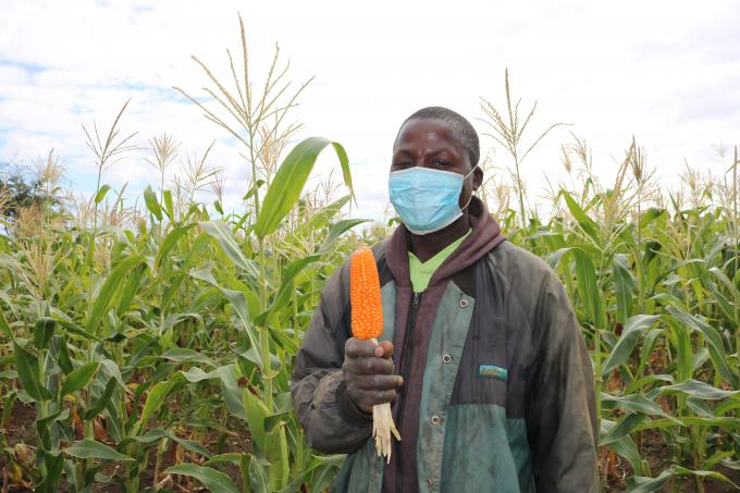 Orlando Balói, optimista sobre o futuro, deixa-se fotografar em frente à plantação de sementes em Kókwè, Mabalane